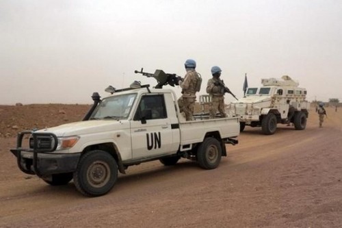 Five UN peacekeepers killed in Mali - ảnh 1